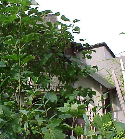 Werkstatt im Gruenen